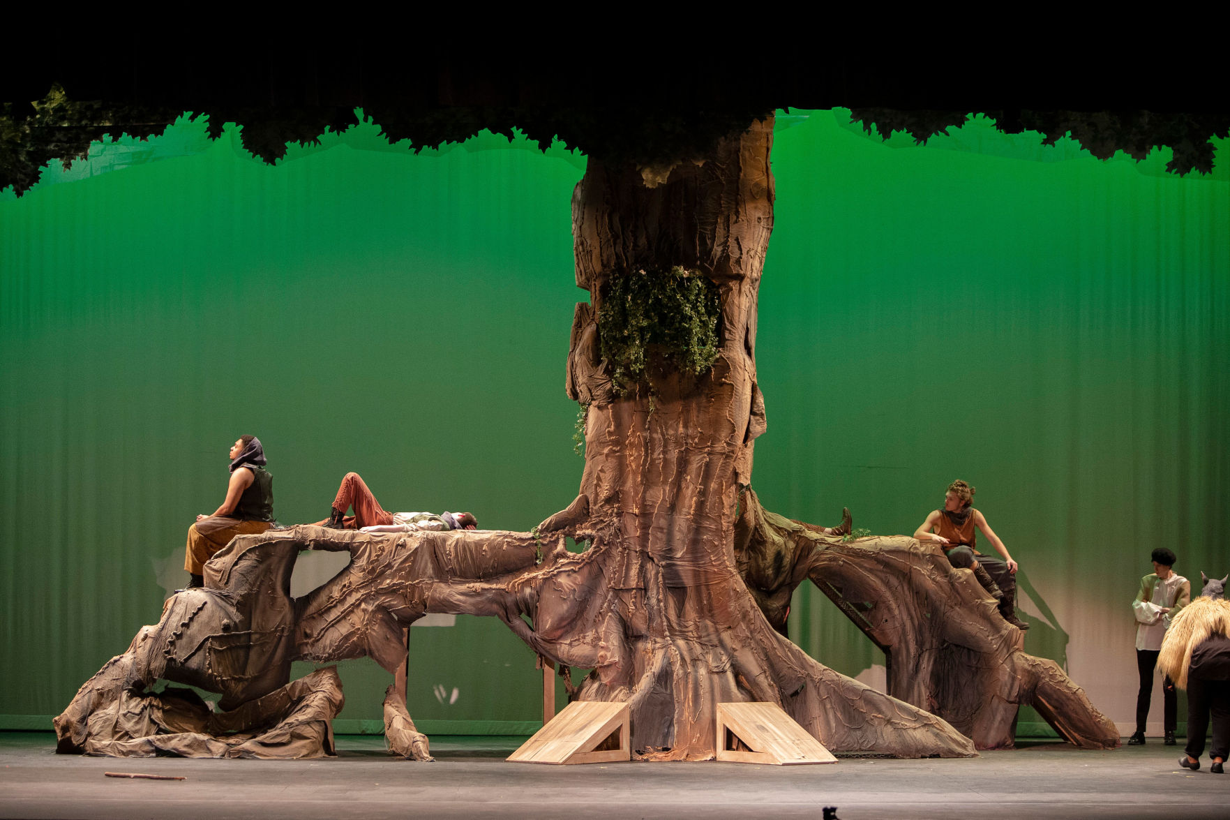 Robin Hood tree
